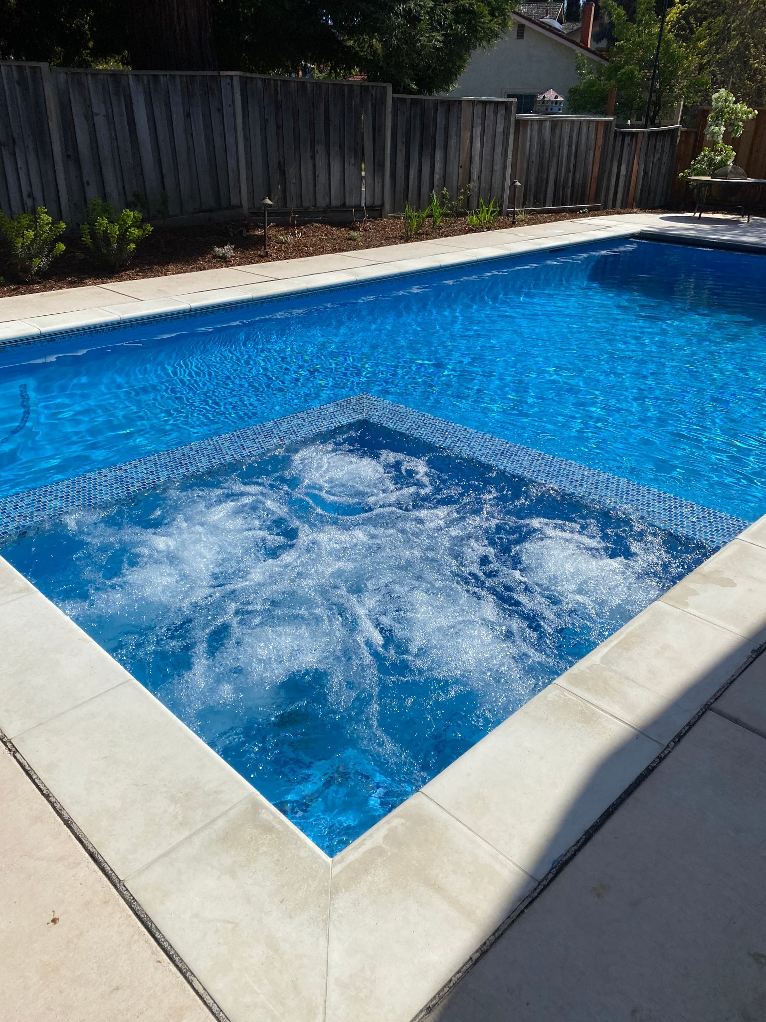 Custom pool build — East Bay