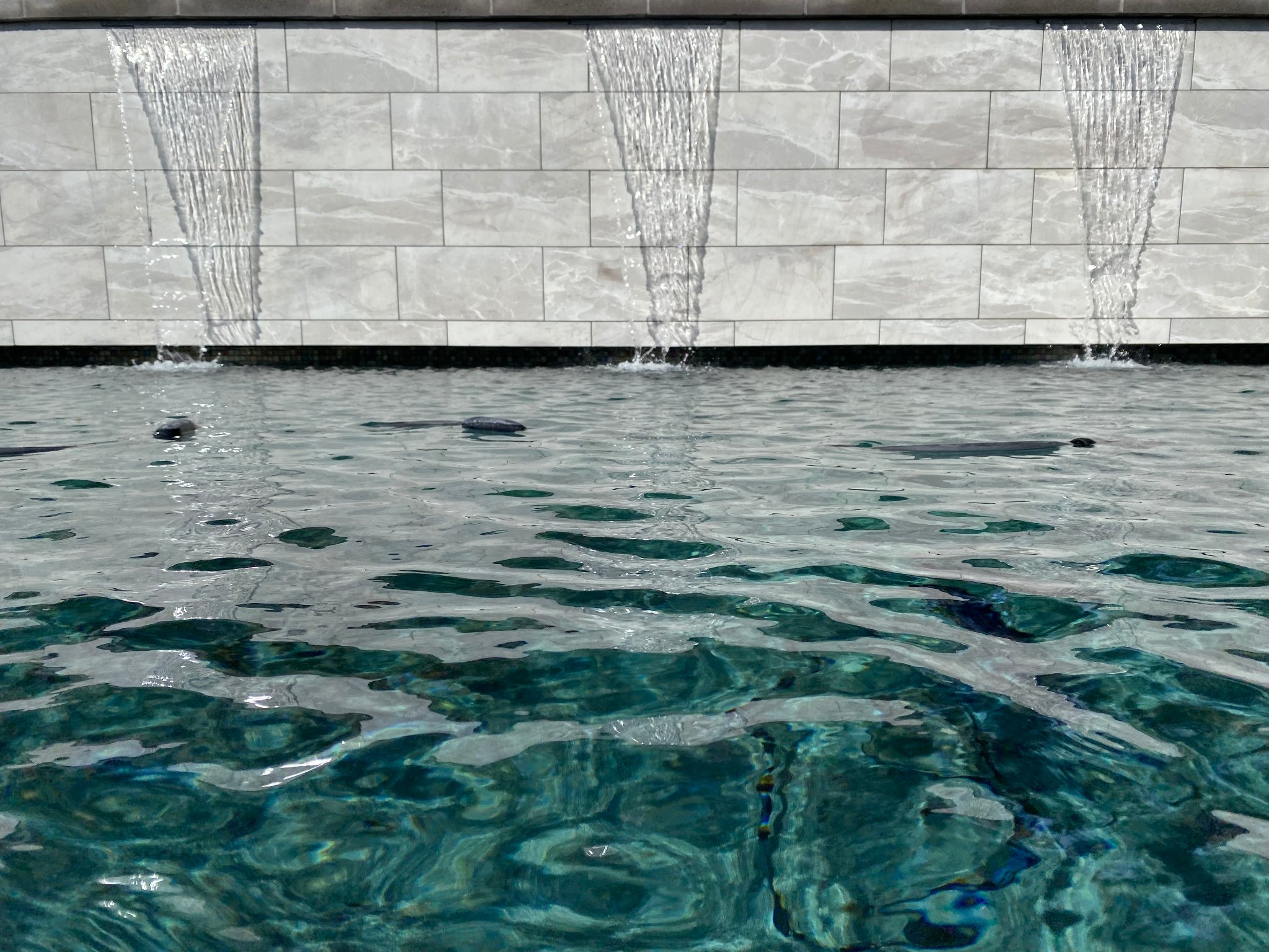 Pool construction