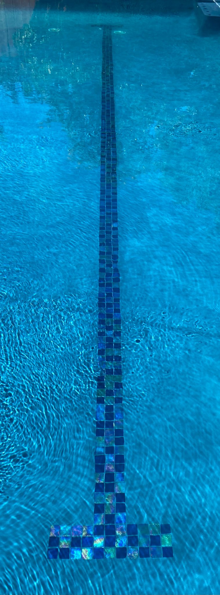 Pool construction East Bay